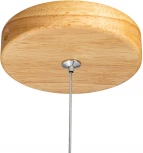 Подвесной светильник Ritter Racemo 52615 5