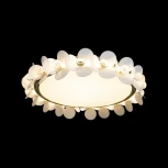 Потолочный светильник круглый Bride 10175 (LED, 220V, цветы, круглые)