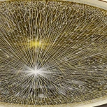 Потолочный светильник круглый DeMarkt Норден 660015101 (регулировка яркости, LED, 220V, пульт управления, круглые)