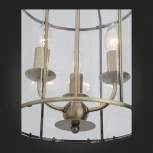 Подвесная люстра ST Luce Odierno SL267.303.03