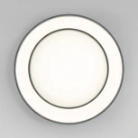 Потолочный светильник круглый светодиодный с пультом Eurosvet Force 90331/2 серый (регулировка яркости, 220V, круглые)