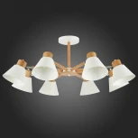 Потолочная люстра Evoluce Buve SLE103702-08