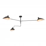 Потолочная люстра ST Luce Spruzzo SL305.402.03