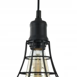 Подвесной светильник Maytoni Denver T449-PL-01-B