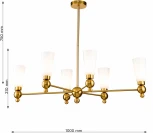 Потолочная люстра Favourite Nimbus 2996-6P