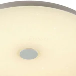 Потолочный светильник Sonex Roki Muzcolor 4629/EL