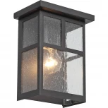 Настенный светильник уличный ST Luce Glazgo SL079.401.01