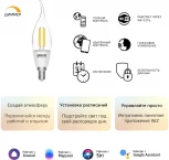 Умная лампочка светодиодная филаментная Gauss Smart Home 1260112