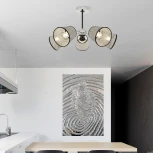 Потолочная люстра на штанге Arte Milano Napoli-320007 320007/5 CR.BK (220V)