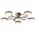 Потолочная люстра на штанге Evoluce Faema SLE6006-702-06