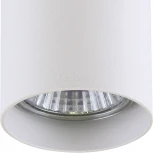 Накладной точечный светильник Lightstar Rullo 214486 (220V)