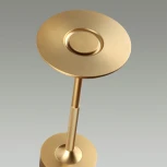 Настольная лампа с аккумулятором Odeon Light 5033/6TL золото матовое/металл/акрил LED 6W 3000K-5700K 300Лм Tet-A-Tet