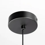 Подвесной светильник в форме шара Citilux Orton CL202021 (220V, на проводе, шар)