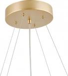 Подвесной светильник Favourite Asterismo 4448-8P (LED, 220V, на тросе, шарики, молекулы)