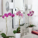 Бра Shelly HK-SHELLY1-BATH Hinkley