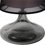 Интерьерная настольная лампа ST Luce Ampolla SL974.404.01