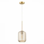 Подвесной светильник ST Luce Gran SL1154.333.01