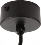 Подвесной светильник Ritter Arton 59981 4