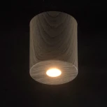 Потолочный светильник круглый DeMarkt Иланг 712010301 (LED, 220V)