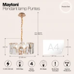 Подвесная люстра Maytoni Puntes MOD043PL-04G