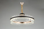 Подвесная люстра Aployt Honori APL.027.03.102 (LED, 220V, на цепи, кольцо)