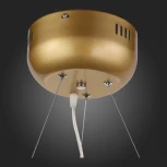 Подвесная люстра ST Luce Riccardo SL411.233.45