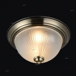 Потолочный светильник круглый Freya Planum FR2913-CL-02-BZ (220V)