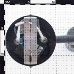 Спот на штанге Citilux Ринг CL525540 (220V, круглые)