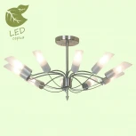 Потолочная люстра Lussole Loft Lano GRLSA-2813-10 (220V, IP21)