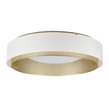 Потолочный светодиодный светильник круглый MyFar Anders MR2371-1CL (220V, круглые)