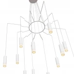 Подвесной светильник Maytoni Davida MOD035PL-12W