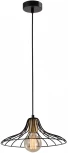 Светильник подвесной х Е27 Вт Rivoli МУНlight 5150-201