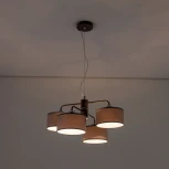 Люстра подвесная Форма CL428241 (220V, на тросе)