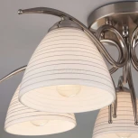 Потолочная люстра Eurosvet Megan 30121/5 сатин-никель (220V)