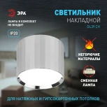 Точечный светильник ЭРА OL39 CH (220V)