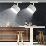 Трековый светильник ЭРА TR48 - GX53 WH (220V, круглые)