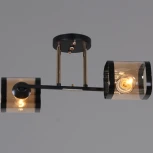 Потолочная люстра на штанге Reluce 09063-3.3-02 BK+FG (220V)