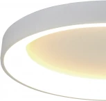 Потолочный светильник круглый Mantra Niseko 8577 (регулировка яркости, LED, 220V, пульт управления, круглые)