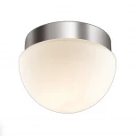 Настенно-потолочный светильник Odeon Light Minkar 2443/1A (220V, IP44)