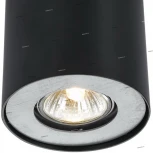Потолочный светильник круглый Arte Lamp Falcon A5633PL-1BK (220V)