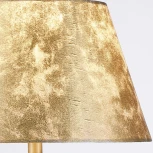 Интерьерная настольная лампа ILLUMICO IL5241-1T-27 AB