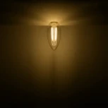 Лампочка светодиодная филаментная Gauss 103801111