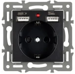 Механизм розетки с USB зарядкой SCT-MUAA-PL-BK (250V, 16A) (Arlight) 043734