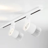 Трековый светильник Elektrostandard Accord LTB43