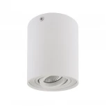 Потолочный светильник круглый Lightstar Binoco 052016 (220V)