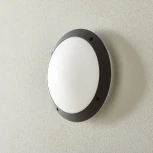 Настенный светильник Fumagalli Lucia 1R3.000.000.AYE27CL1 (220V, круглые, IP66)