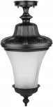 Потолочный светильник уличный Oasis Light ELBA 86405A Bl (220V, фонарь, IP44)