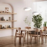 Подвесной светильник Freya Cozy FR6170PL-L52BS (LED, 220V, круглые)