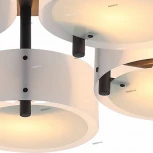 Потолочная люстра ST Luce Foresta SL483.402.05