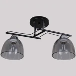 Потолочная люстра на штанге Reluce 06098-0.3-02 BK+CR